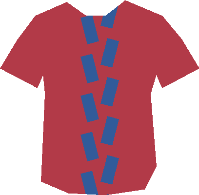 AS Bois Royal France — maillot