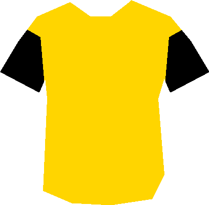 Maillot de Don bosco