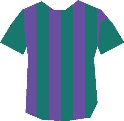 Sporting Vallee Sud Portugal — maillot