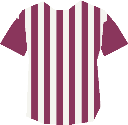 RC LaRaiePublique — maillot