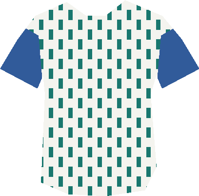Maillot de Asc néex lee