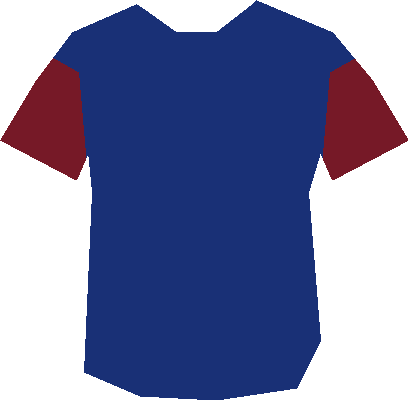 Maillot de flydis
