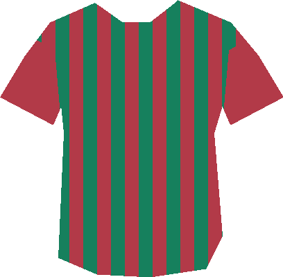 Maillot de Nassimtop1