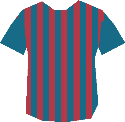 FC Bois Royal Brésil — maillot