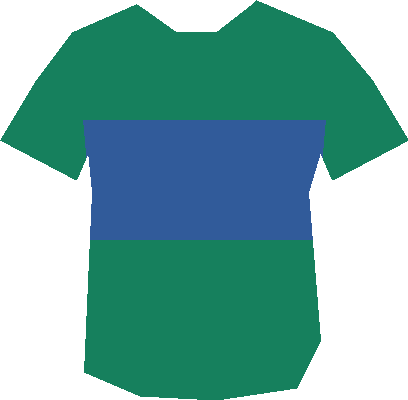 Racing Vallee Sud France — maillot