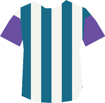 Maillot de Alain MICHEL