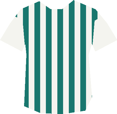 Maillot de RC Albion Verte