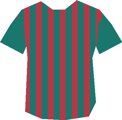 Cv ninio — maillot