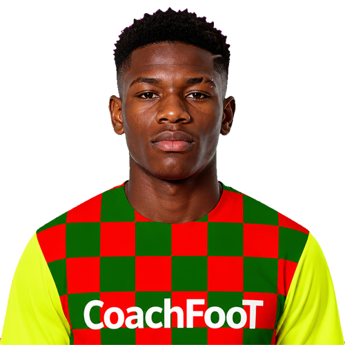 Kalifa DIANE, Milieu défensif dans CoachFoot